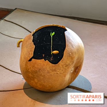 Le Musée Guimet propose une Carte blanche à Duy Anh Nhan Duc