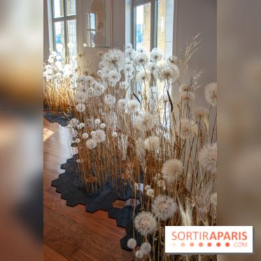 Le Musée Guimet propose une Carte blanche à Duy Anh Nhan Duc