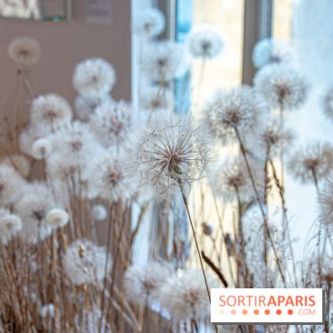 Le Musée Guimet propose une Carte blanche à Duy Anh Nhan Duc