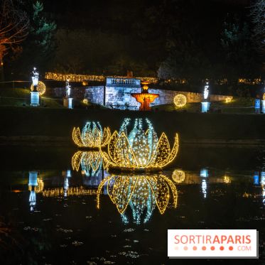 Lumières en Seine, les photos du parcours féérique 