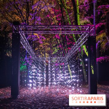 Lumières en Seine, les photos du parcours féérique 