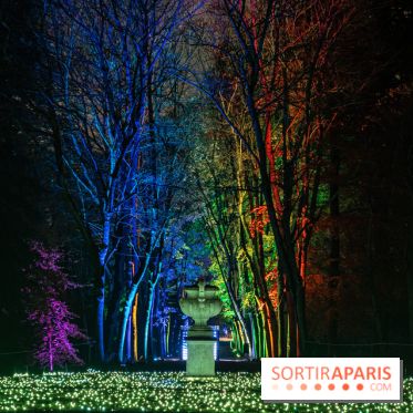 Lumières en Seine, les photos du parcours féérique 
