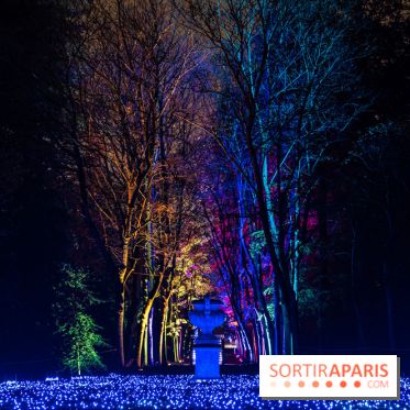 Lumières en Seine, les photos du parcours féérique 