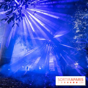 Lumières en Seine, les photos du parcours féérique 