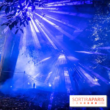 Lumières en Seine, les photos du parcours féérique 