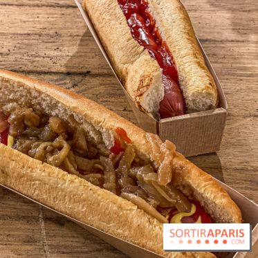 Lumières en Seine, les photos du parcours féérique 