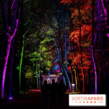 Lumières en Seine, les photos du parcours féérique 