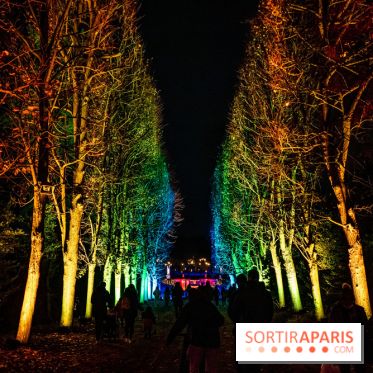 Lumières en Seine, les photos du parcours féérique 