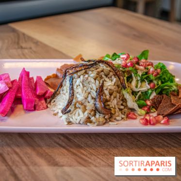 Chez Zena, la bonne cuisine libanaise familiale du 18e arrondissement