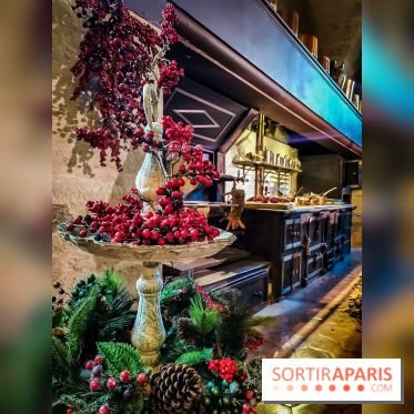 Vaux-le-Vicomte en lumières pour Noël : fêtez les 400 ans de Jean de la Fontaine