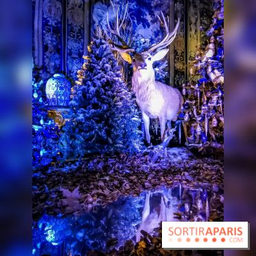 Vaux-le-Vicomte en lumières pour Noël : fêtez les 400 ans de Jean de la Fontaine