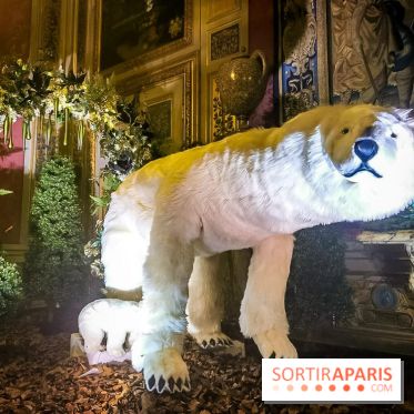 Vaux-le-Vicomte en lumières pour Noël : fêtez les 400 ans de Jean de la Fontaine