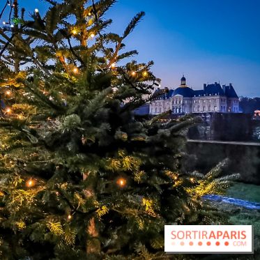 Vaux-le-Vicomte en lumières pour Noël : fêtez les 400 ans de Jean de la Fontaine
