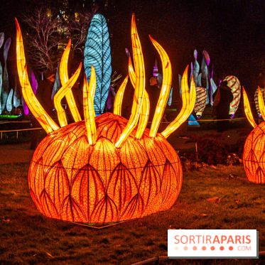 Festival des lumières du Jardin des Plantes 2021, l'Evolution en voie d'illumination - nos photos