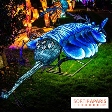 Festival des lumières du Jardin des Plantes 2021, l'Evolution en voie d'illumination - nos photos