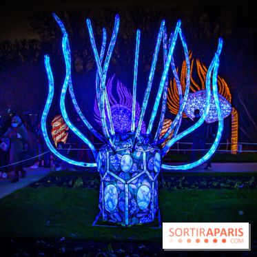 Festival des lumières du Jardin des Plantes 2021, l'Evolution en voie d'illumination - nos photos
