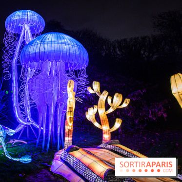 Festival des lumières du Jardin des Plantes 2021, l'Evolution en voie d'illumination - nos photos