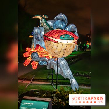 Festival des lumières du Jardin des Plantes 2021, l'Evolution en voie d'illumination - nos photos