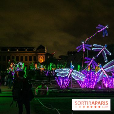 Festival des lumières du Jardin des Plantes 2021, l'Evolution en voie d'illumination - nos photos