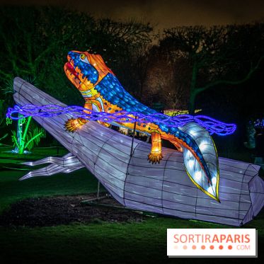 Festival des lumières du Jardin des Plantes 2021, l'Evolution en voie d'illumination - nos photos