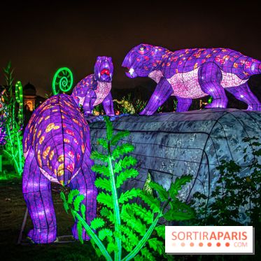 Festival des lumières du Jardin des Plantes 2021, l'Evolution en voie d'illumination - nos photos