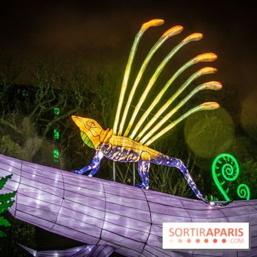 Festival des lumières du Jardin des Plantes 2021, l'Evolution en voie d'illumination - nos photos