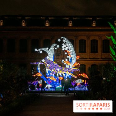 Festival des lumières du Jardin des Plantes 2021, l'Evolution en voie d'illumination - nos photos