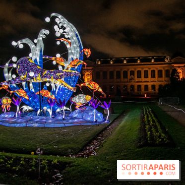 Festival des lumières du Jardin des Plantes 2021, l'Evolution en voie d'illumination - nos photos
