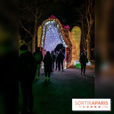Festival des lumières du Jardin des Plantes 2021, l'Evolution en voie d'illumination - nos photos