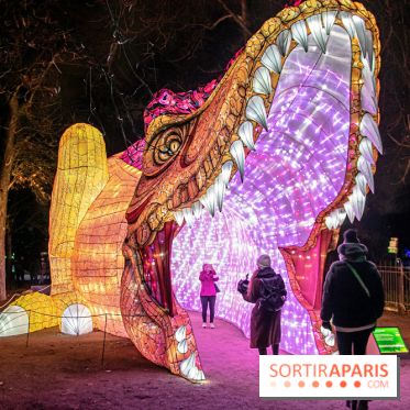 Festival des lumières du Jardin des Plantes 2021, l'Evolution en voie d'illumination - nos photos