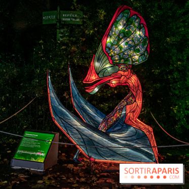 Festival des lumières du Jardin des Plantes 2021, l'Evolution en voie d'illumination - nos photos