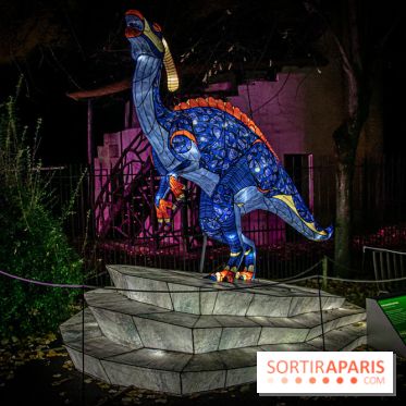 Festival des lumières du Jardin des Plantes 2021, l'Evolution en voie d'illumination - nos photos