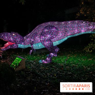 Festival des lumières du Jardin des Plantes 2021, l'Evolution en voie d'illumination - nos photos