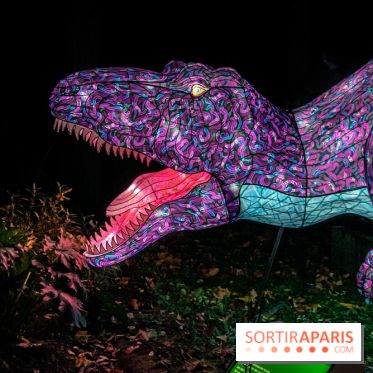 Festival des lumières du Jardin des Plantes 2021, l'Evolution en voie d'illumination - nos photos