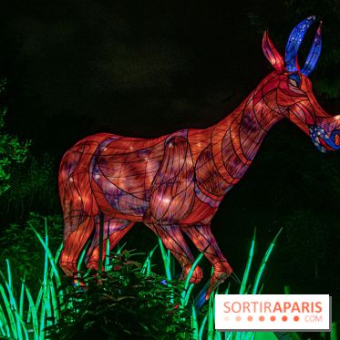 Festival des lumières du Jardin des Plantes 2021, l'Evolution en voie d'illumination - nos photos