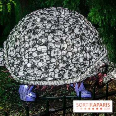 Festival des lumières du Jardin des Plantes 2021, l'Evolution en voie d'illumination - nos photos