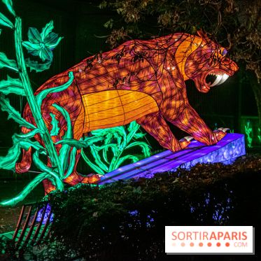 Festival des lumières du Jardin des Plantes 2021, l'Evolution en voie d'illumination - nos photos