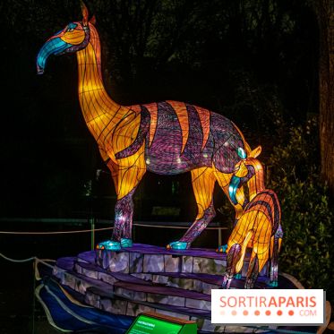 Festival des lumières du Jardin des Plantes 2021, l'Evolution en voie d'illumination - nos photos