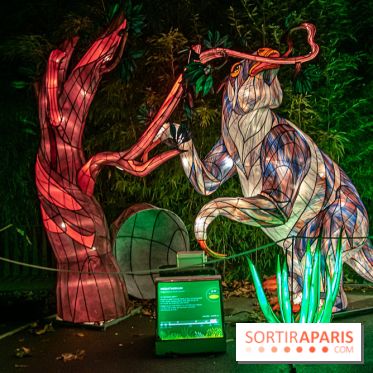 Festival des lumières du Jardin des Plantes 2021, l'Evolution en voie d'illumination - nos photos