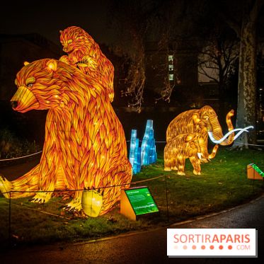 Festival des lumières du Jardin des Plantes 2021, l'Evolution en voie d'illumination - nos photos