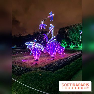 Festival des lumières du Jardin des Plantes 2021, l'Evolution en voie d'illumination - nos photos