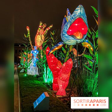 Festival des lumières du Jardin des Plantes 2021, l'Evolution en voie d'illumination - nos photos