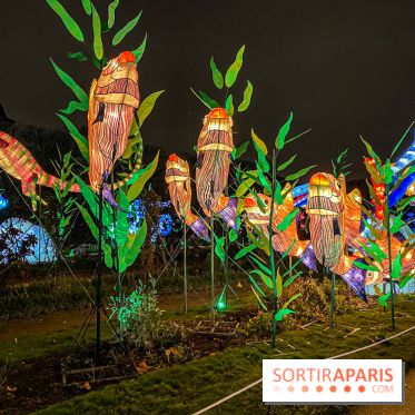 Festival des lumières du Jardin des Plantes 2021, l'Evolution en voie d'illumination - nos photos