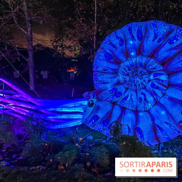 Festival des lumières du Jardin des Plantes 2021, l'Evolution en voie d'illumination - nos photos