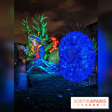 Festival des lumières du Jardin des Plantes 2021, l'Evolution en voie d'illumination - nos photos