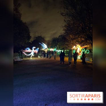 Festival des lumières du Jardin des Plantes 2021, l'Evolution en voie d'illumination - nos photos