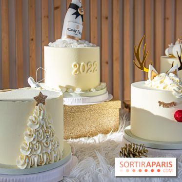 Bûche 2021 Candy Paradis