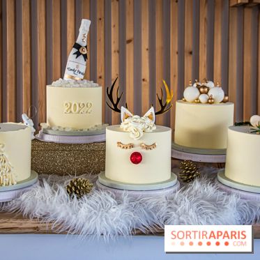 Bûche 2021 Candy Paradis