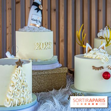 Bûche 2021 Candy Paradis