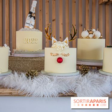 Bûche 2021 Candy Paradis